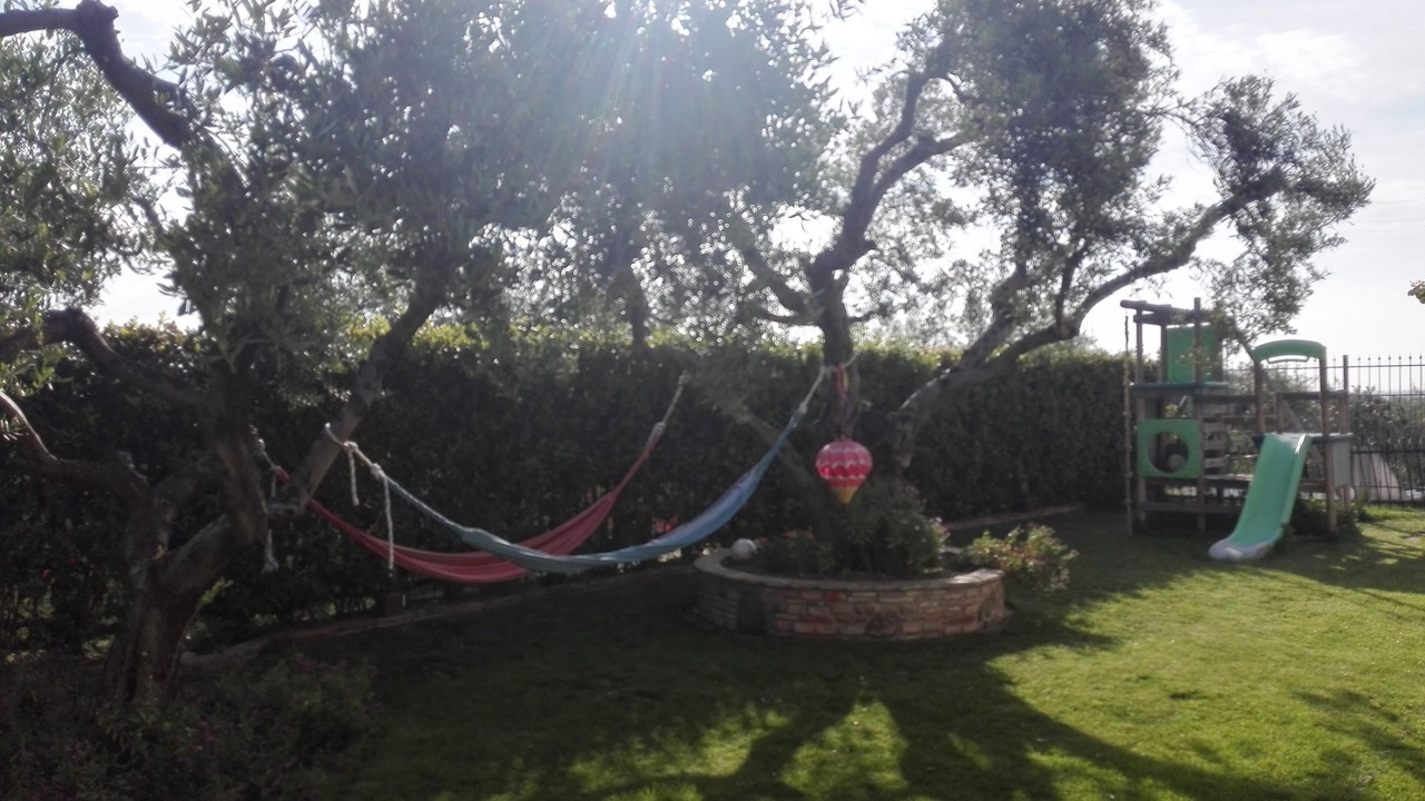 Photo of Outdoor in San Giovanni Teatino