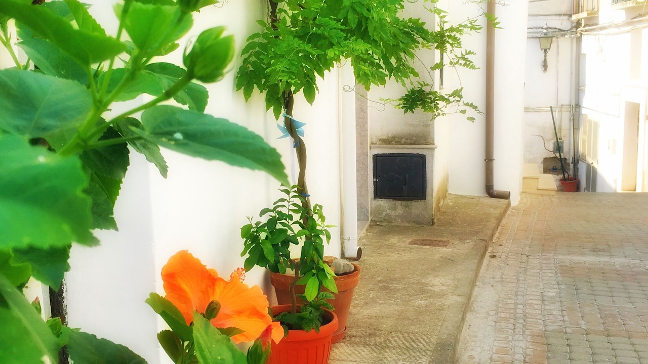 Photo of Outdoor in Macchia