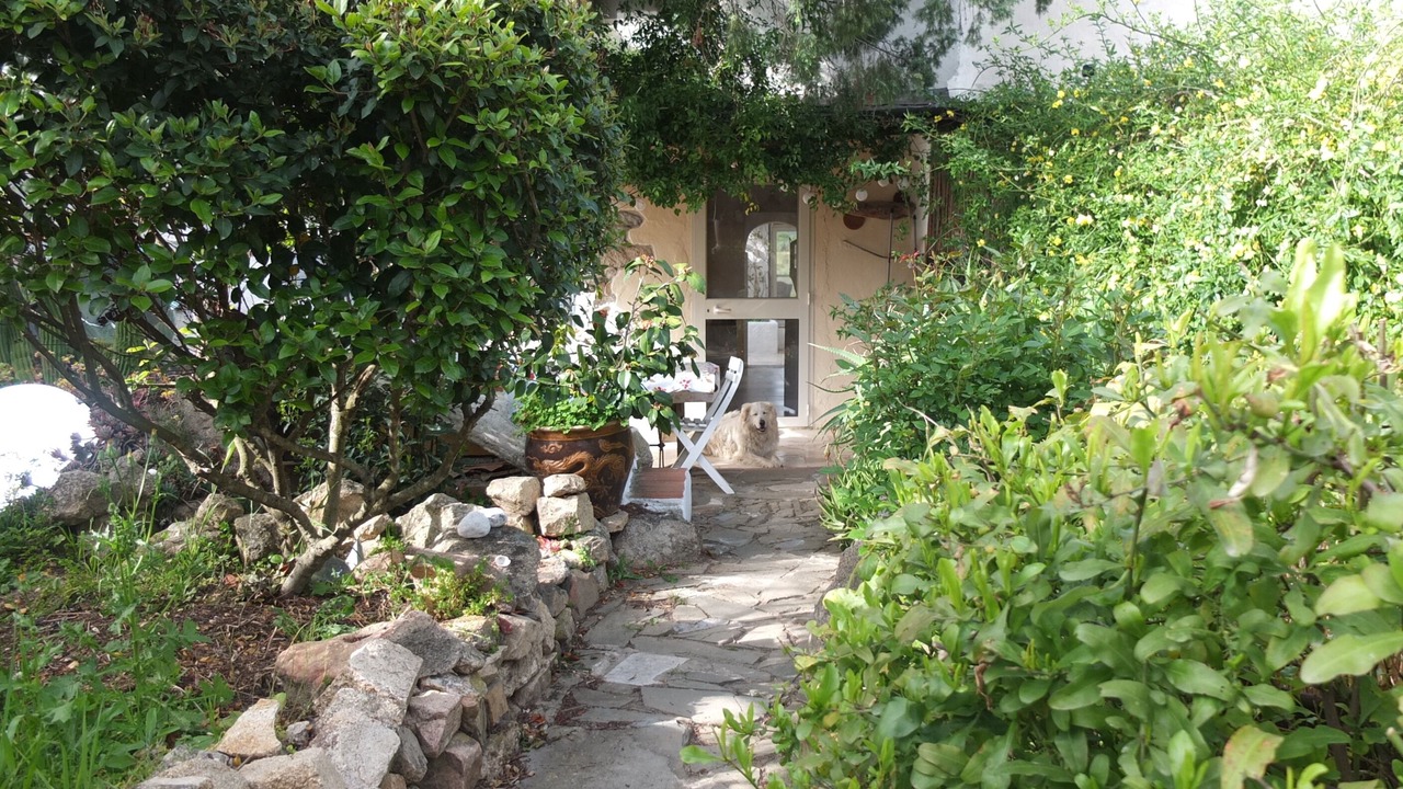 Photo of Outdoor in Dorgali