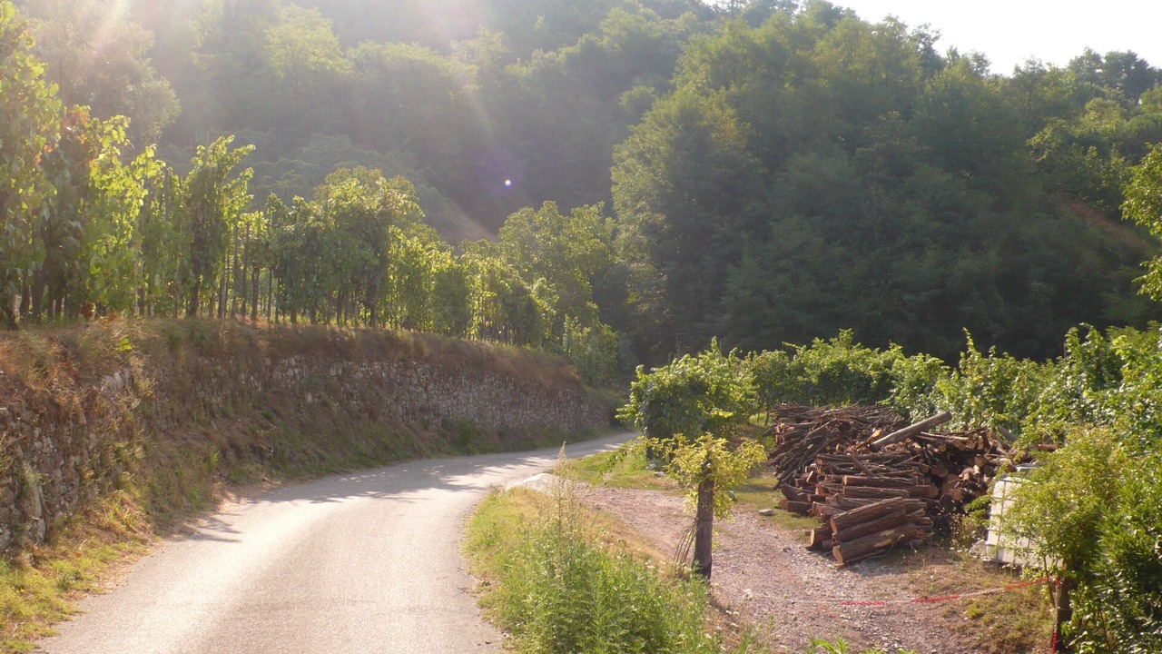 Photo of Outdoor in Mologno