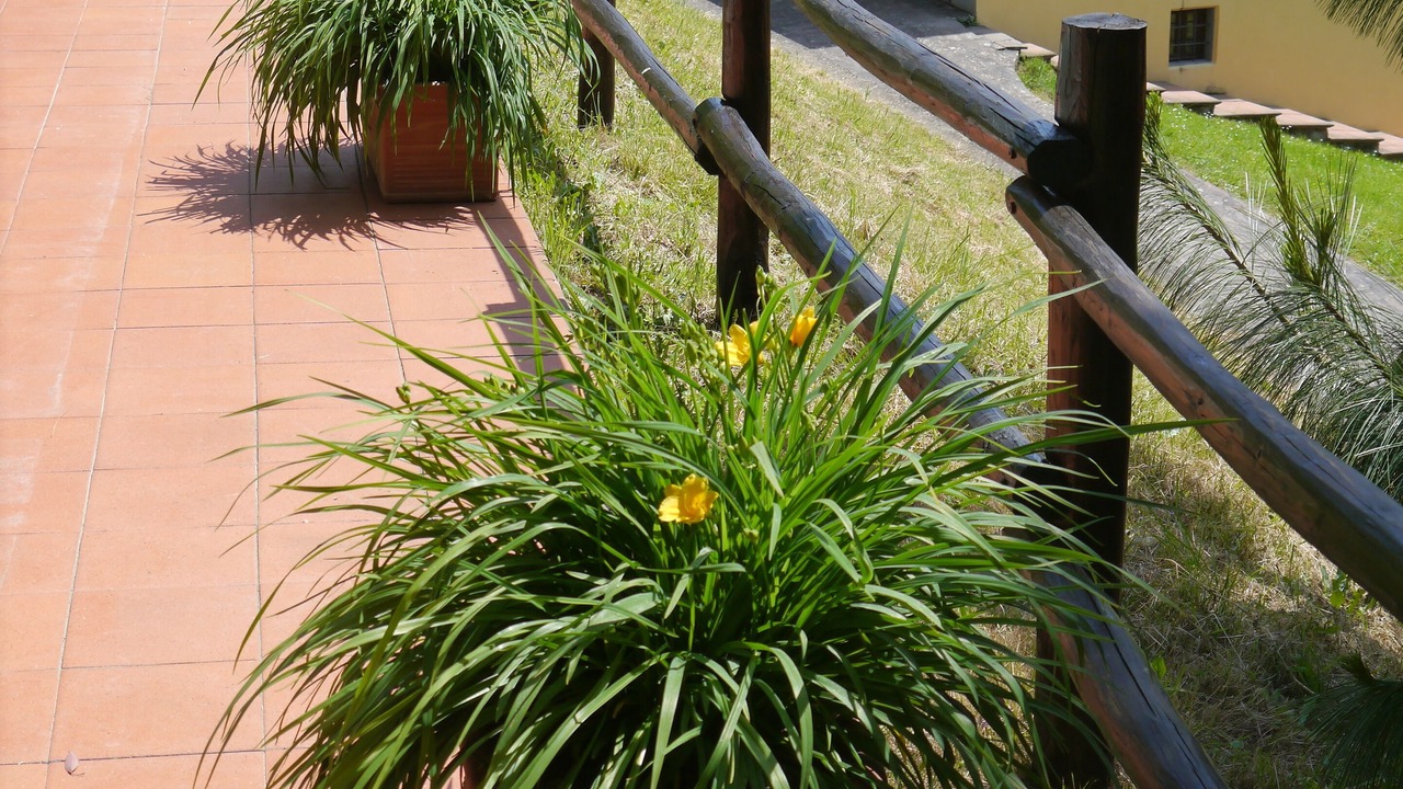 Photo of Outdoor in Mologno