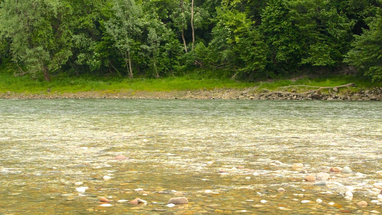 Photo of Others in Bussolengo
