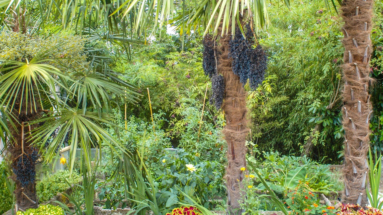 Photo of Outdoor in Bussolengo
