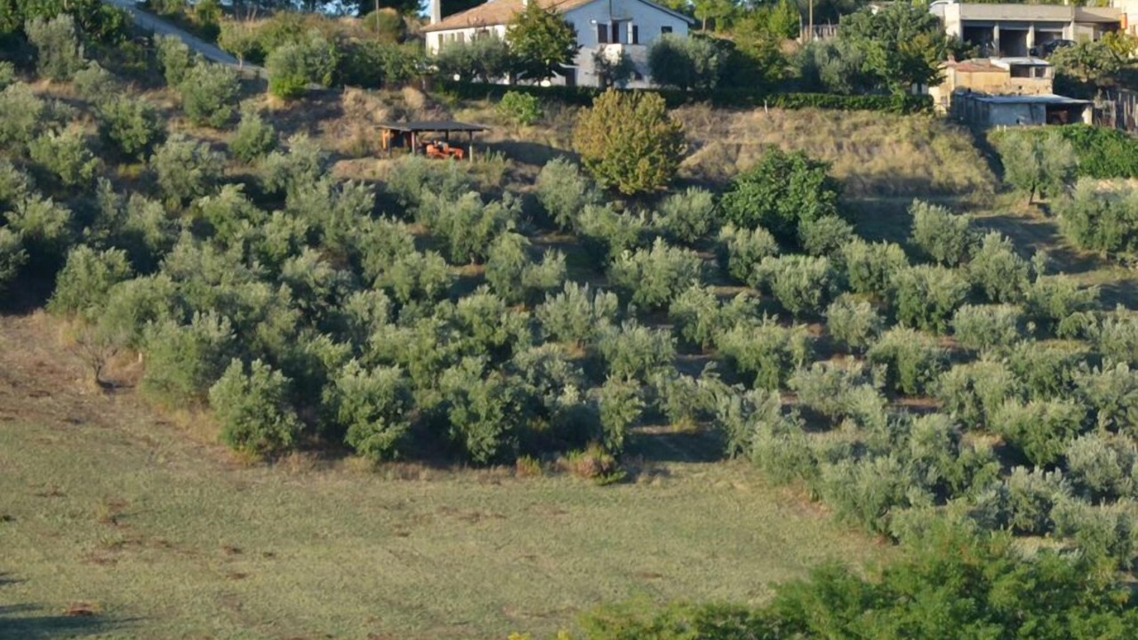 Photo of Outdoor in Grottammare