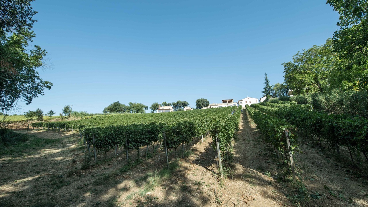Photo of Outdoor in Crecchio