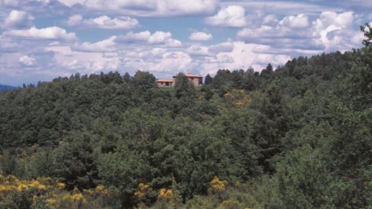 Photo of Outdoor in Radicondoli