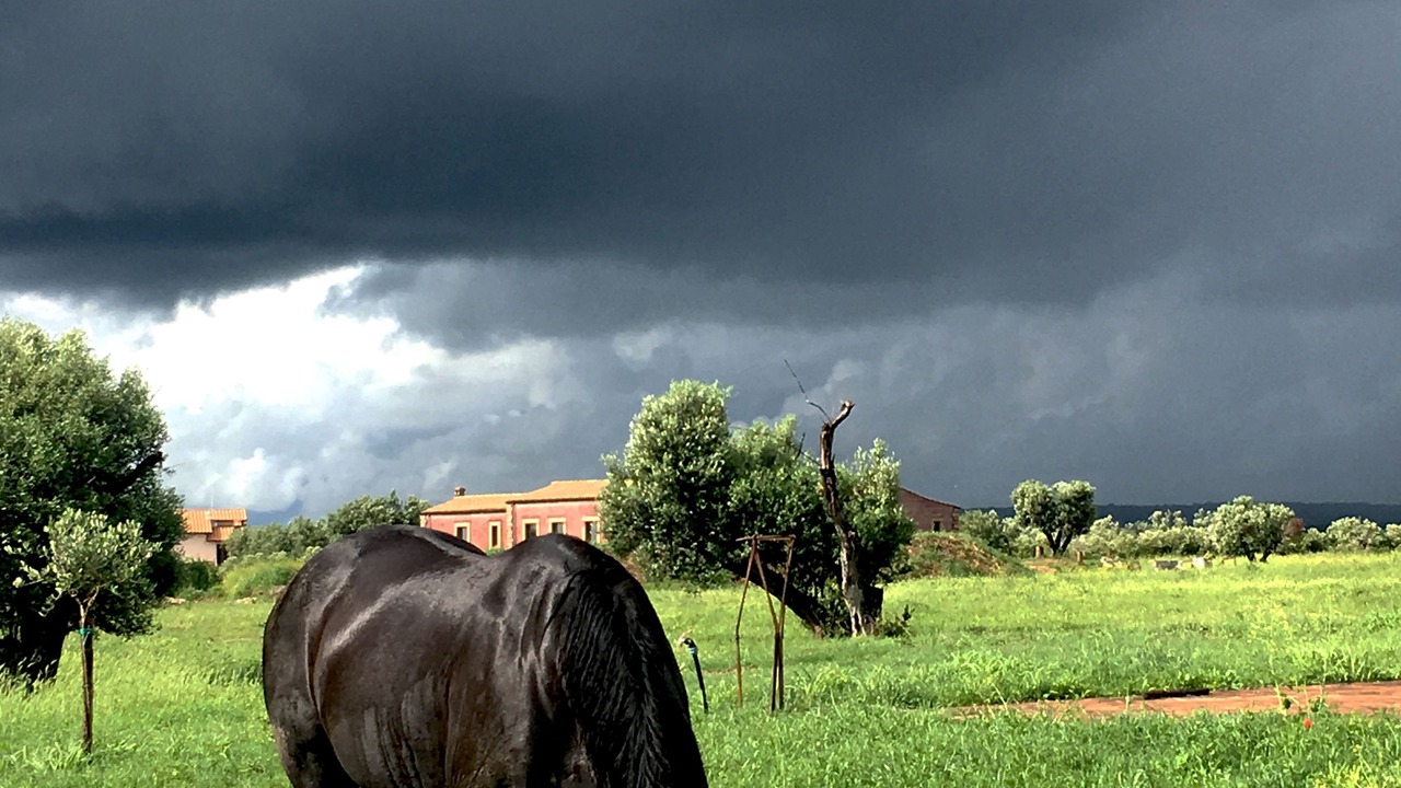 Photo of Outdoor in Canino