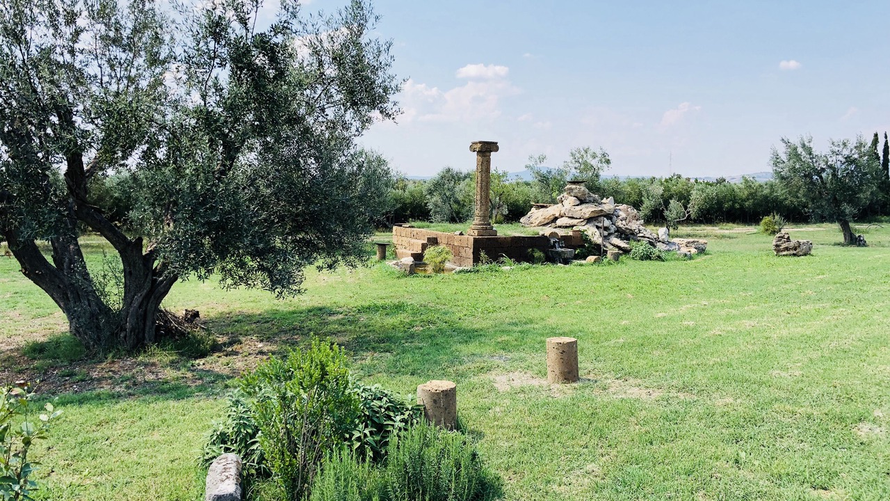 Photo of Outdoor in Canino