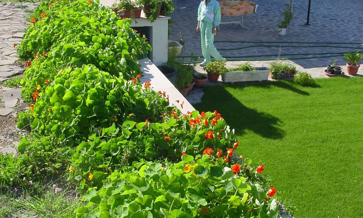 Photo of Outdoor in Pomezia