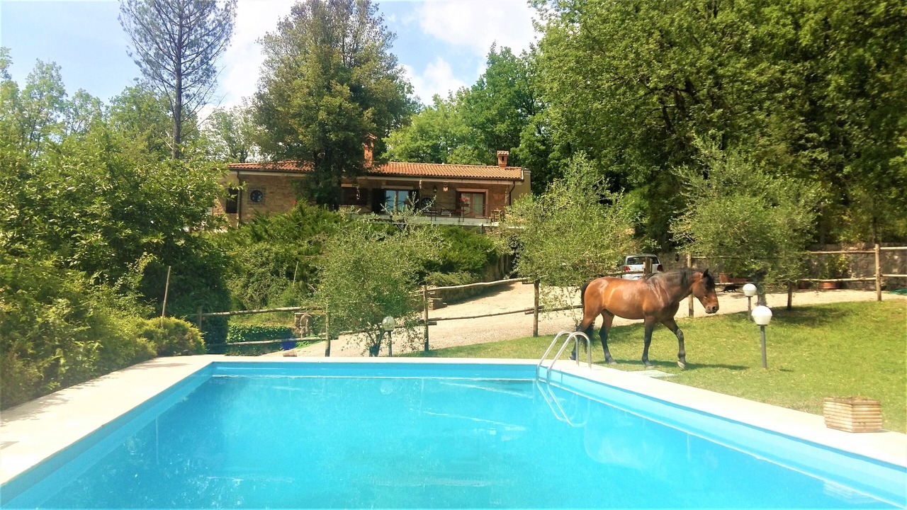 Photo of Outdoor in Gerano
