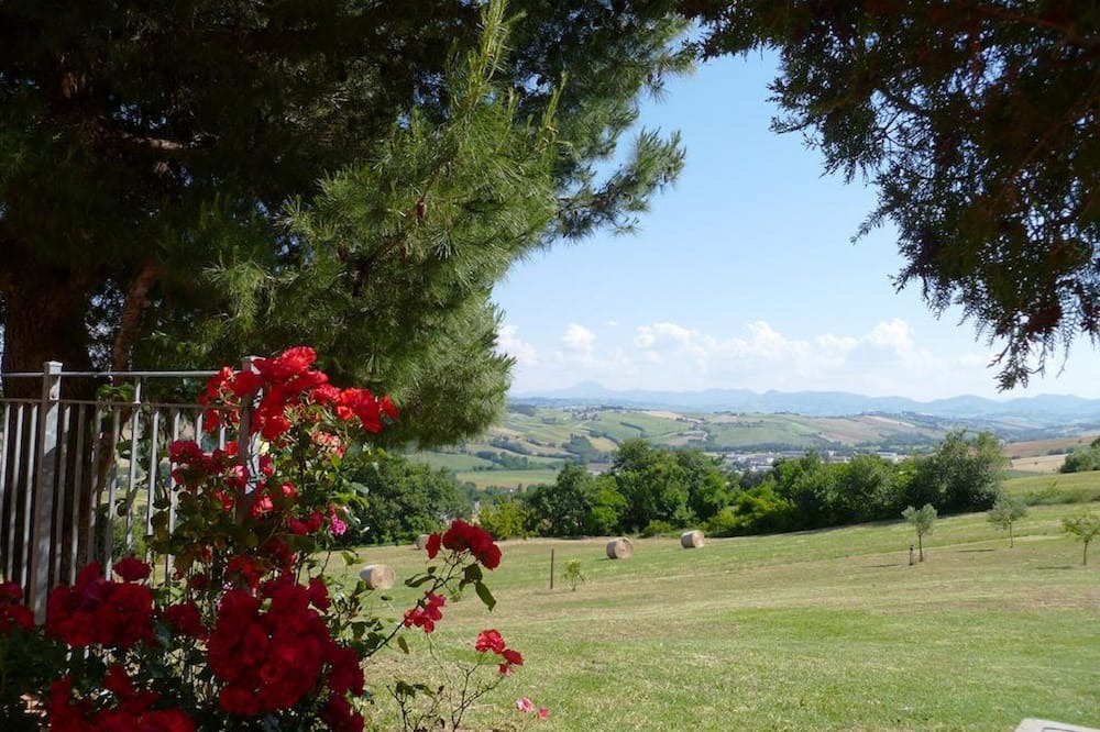 Photo of Outdoor in Corinaldo