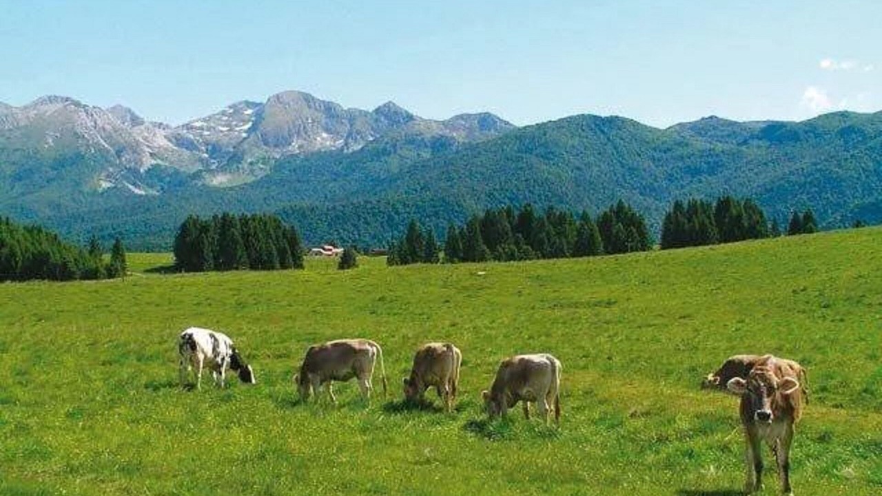 Photo of Outdoor in Pieve d'Alpago
