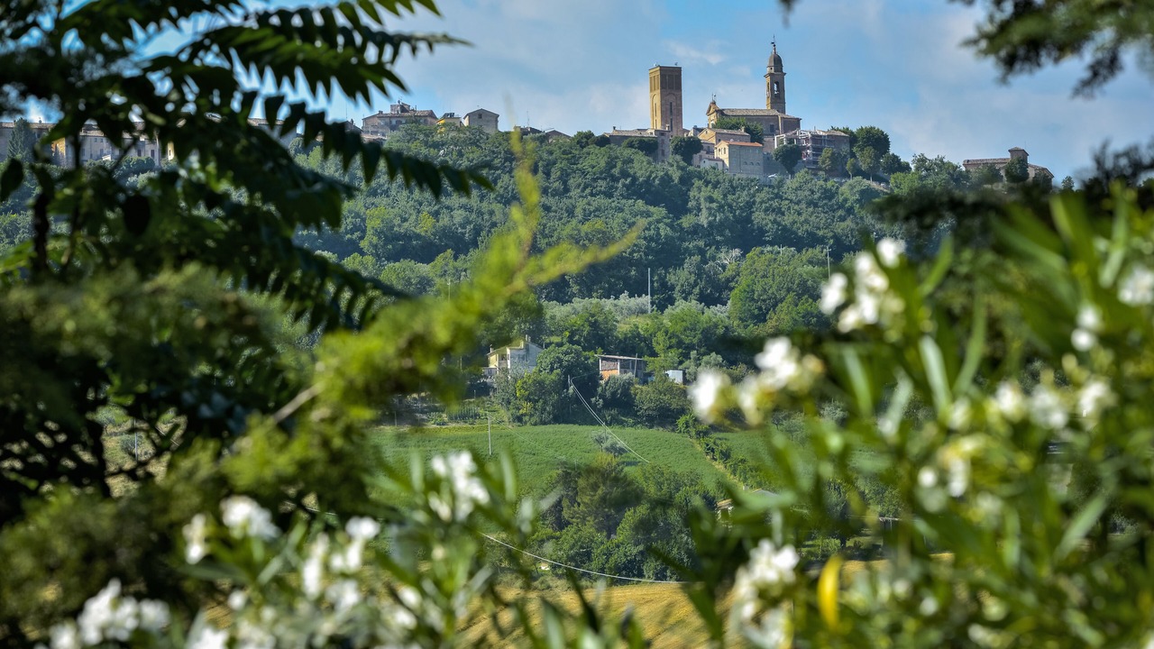 Photo of Others in Mogliano