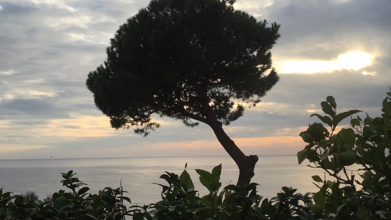 Photo of Outdoor in Sori