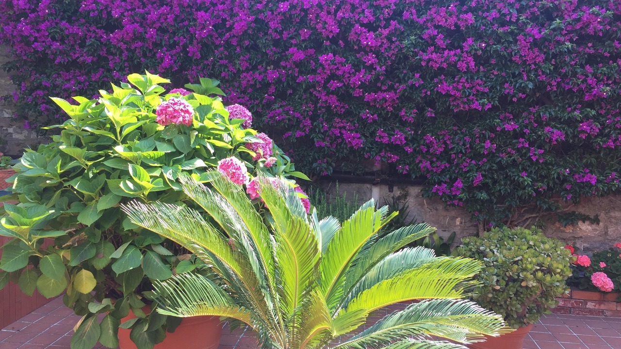 Photo of Outdoor in Sori