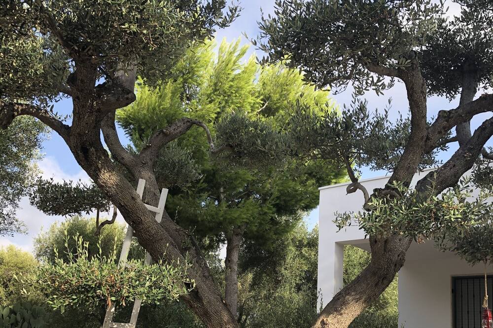 Photo of Outdoor in Francavilla Fontana