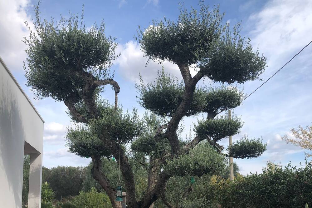 Photo of Outdoor in Francavilla Fontana