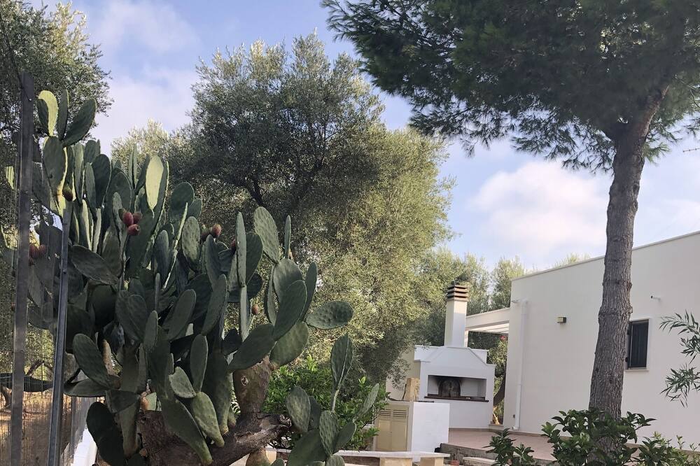 Photo of Outdoor in Francavilla Fontana