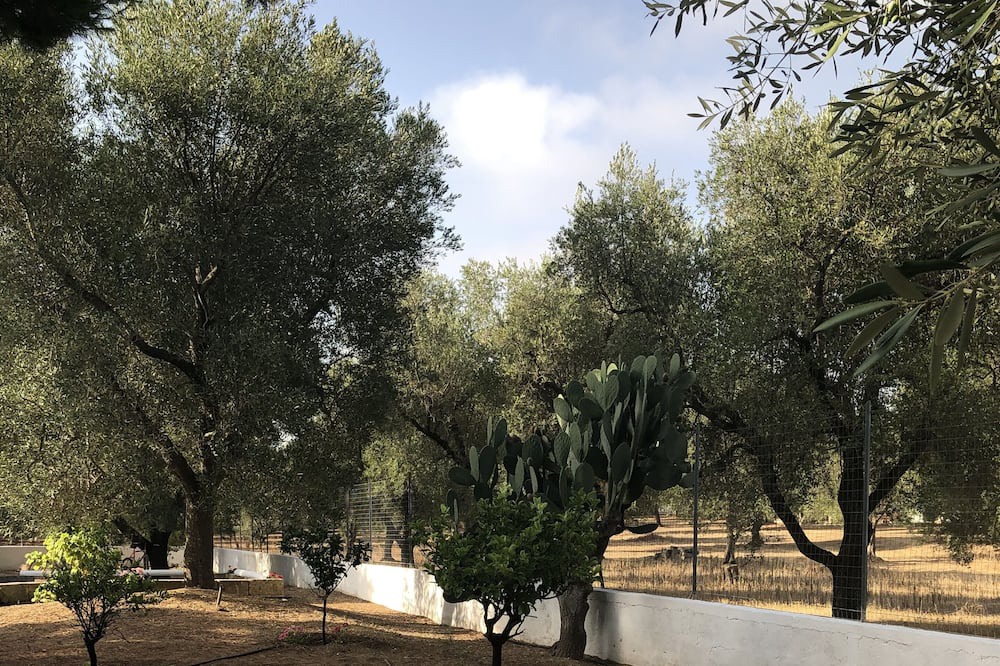Photo of Outdoor in Francavilla Fontana