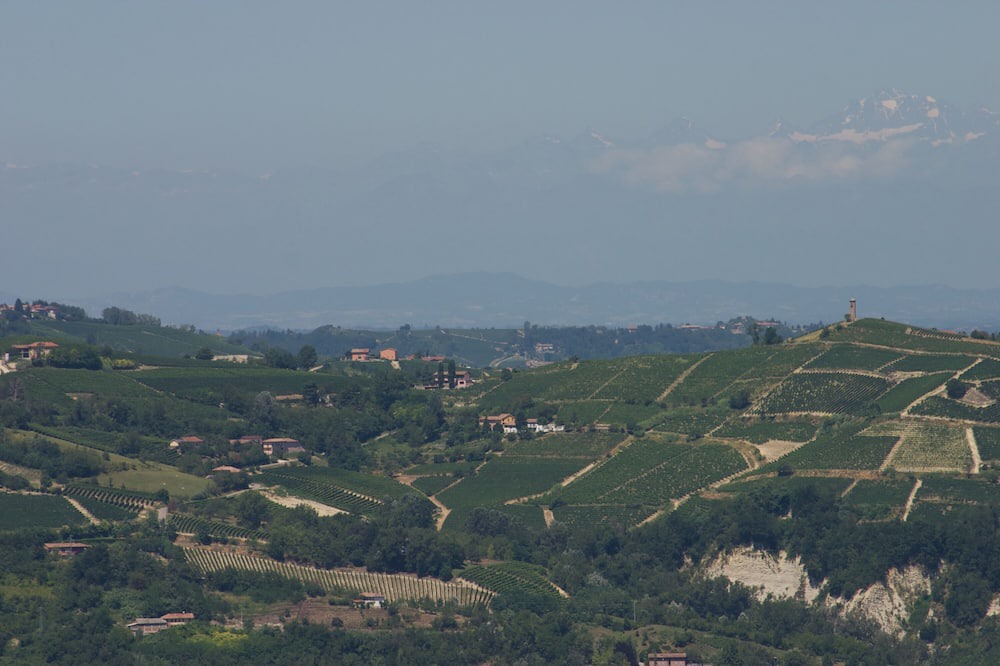 Photo of Outdoor in Spigno Monferrato