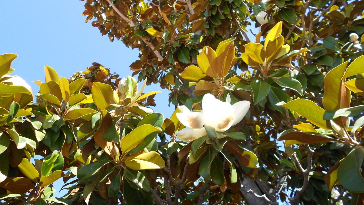Photo of Outdoor in San Giovanni