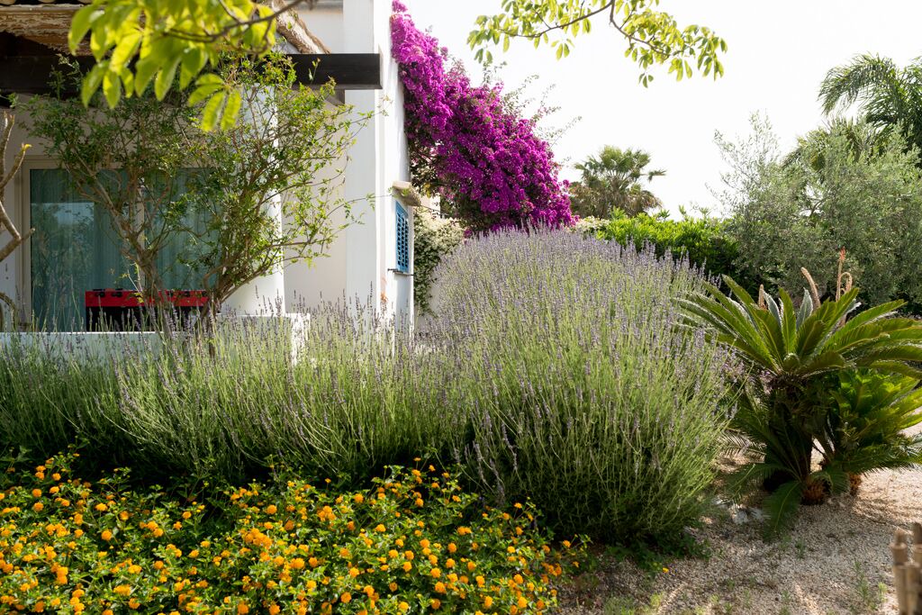 Photo of Outdoor in Caucana-finaiti-casuzze-finaiti Nord