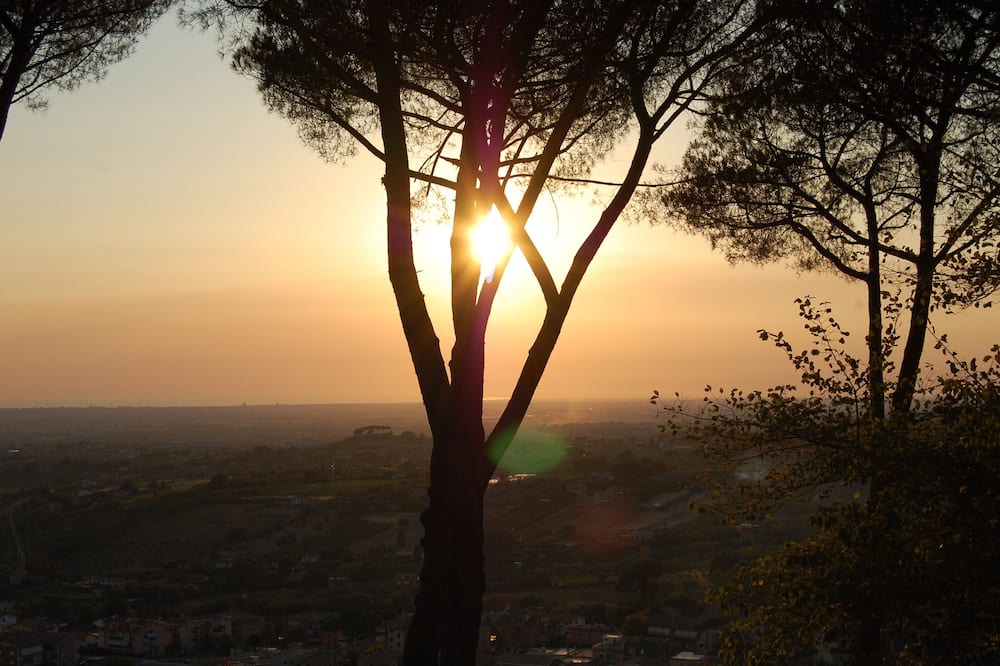 Photo of Others in Lake Garda