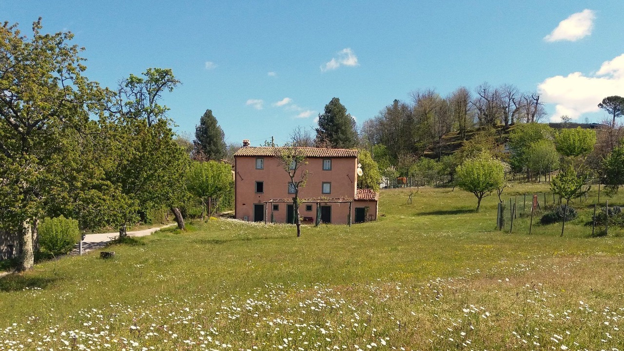 Photo of Outdoor in Pieve Fosciana
