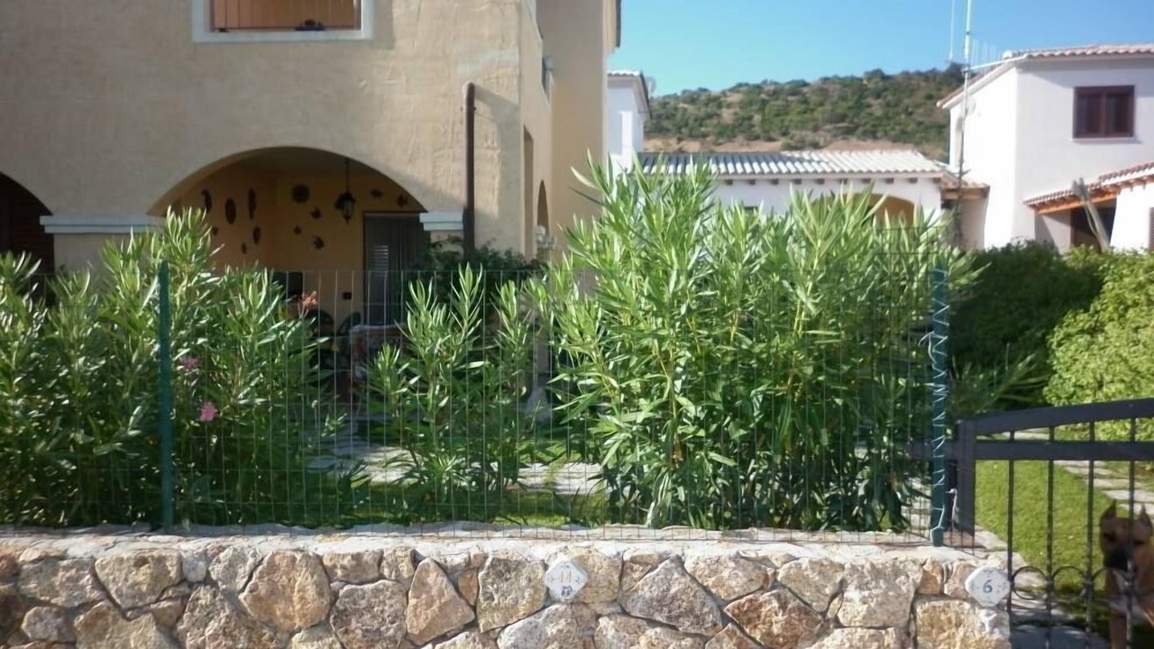 Photo of Others in S'Iscala