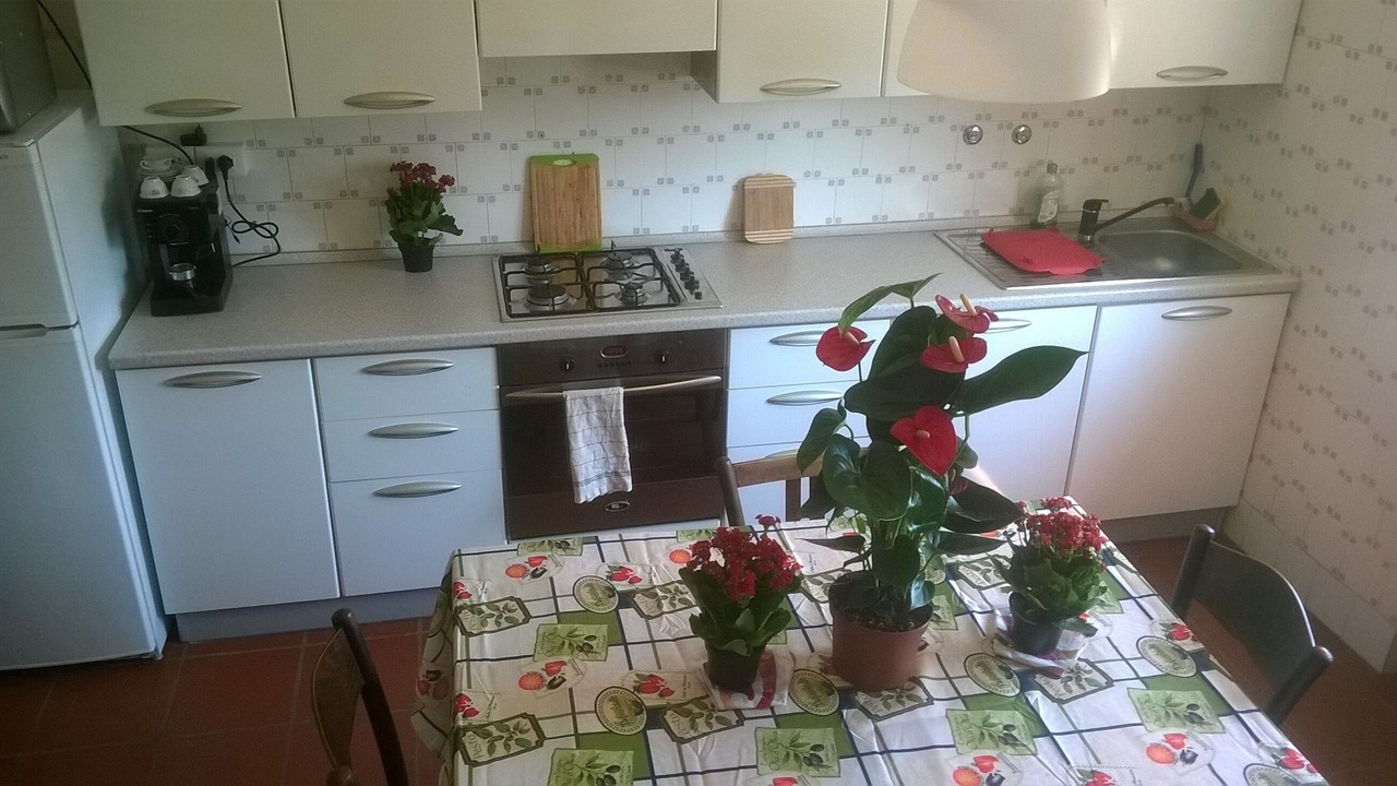 Photo of Kitchen in Lugo