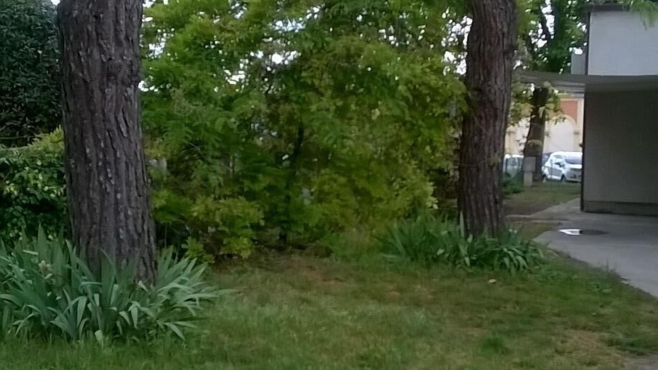 Photo of Outdoor in Lugo