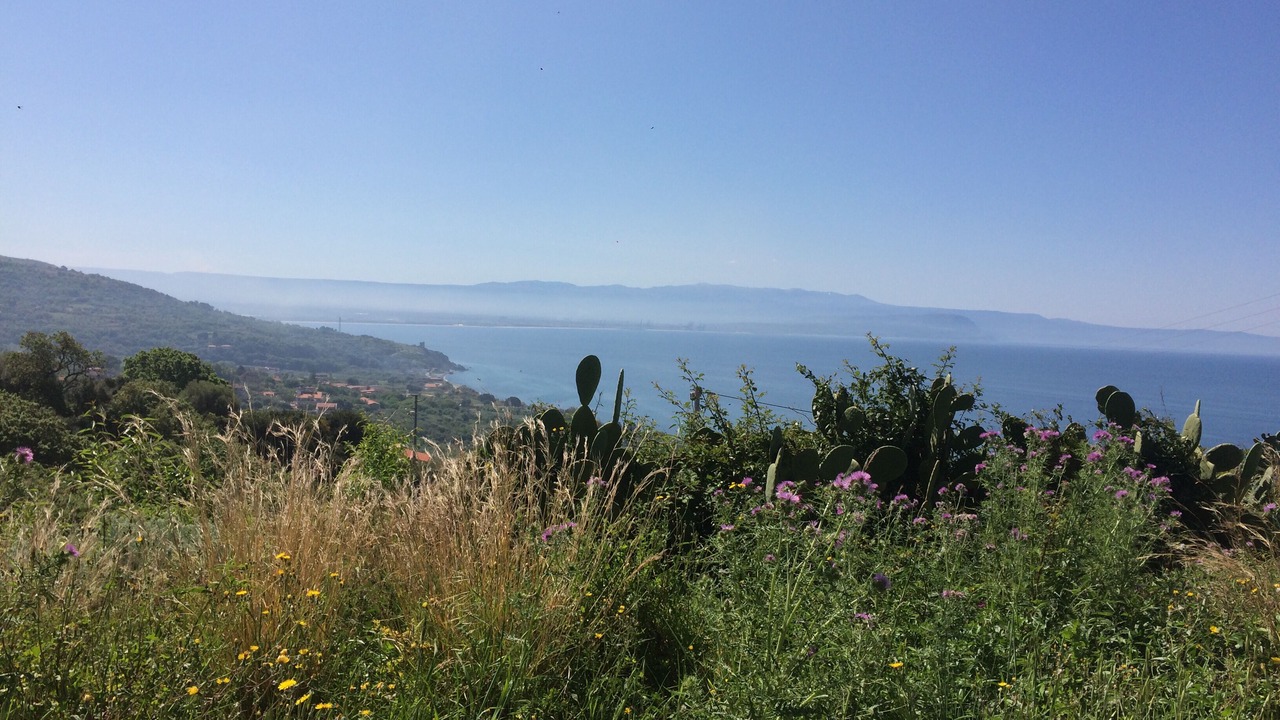Photo of Others in Joppolo