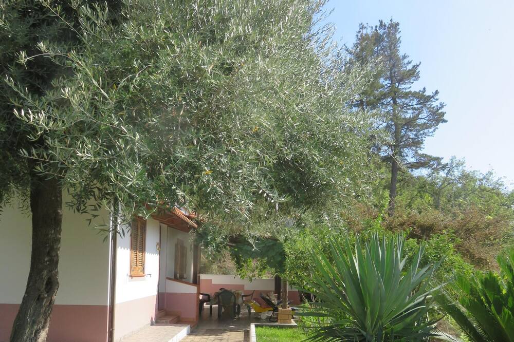 Photo of Outdoor in Joppolo