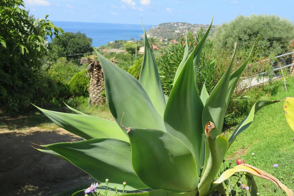 Photo of Outdoor in Joppolo