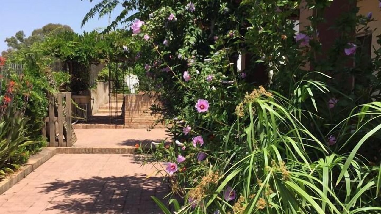 Photo of Outdoor in Vibo Marina