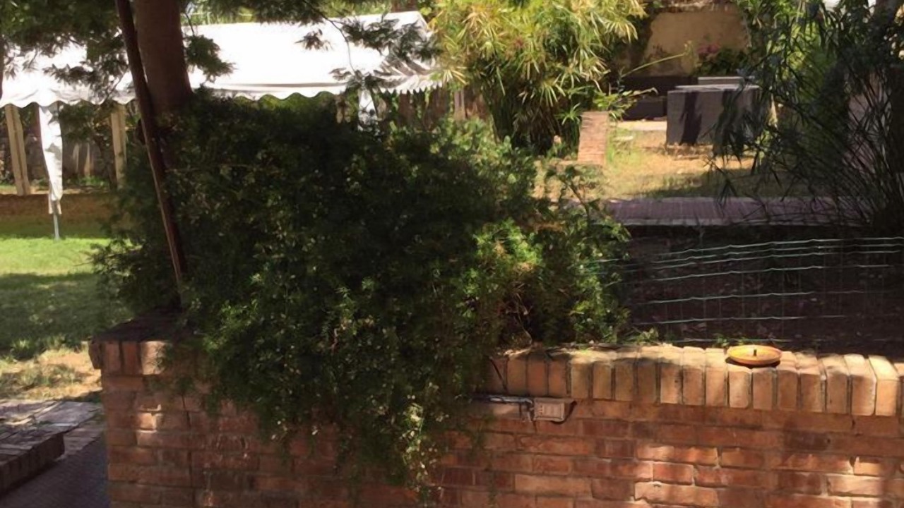 Photo of Outdoor in Vibo Marina