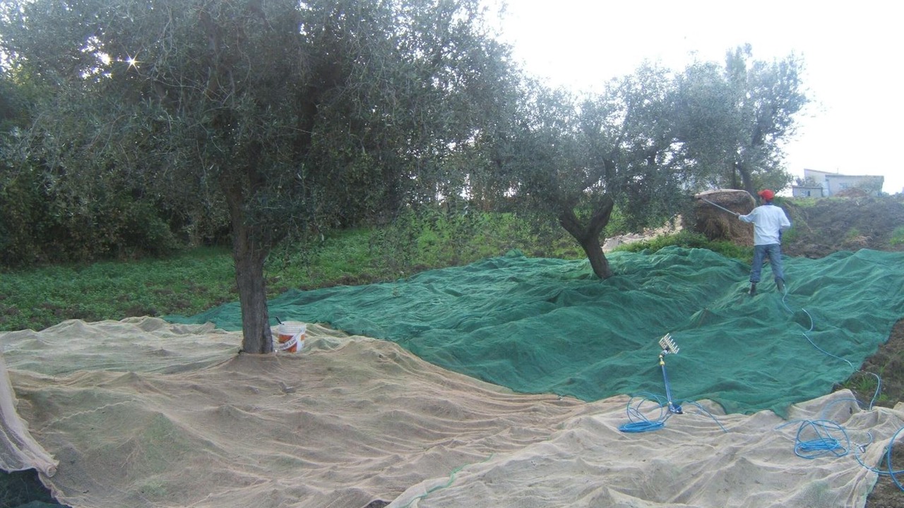 Photo of Outdoor in Campli