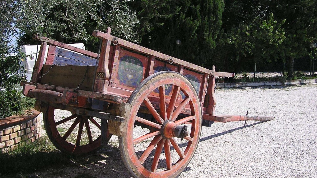 Photo of Others in Campli