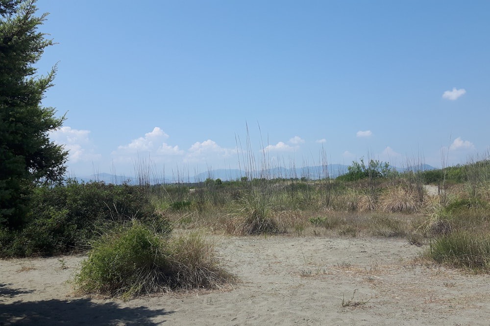 Photo of Outdoor in Lido
