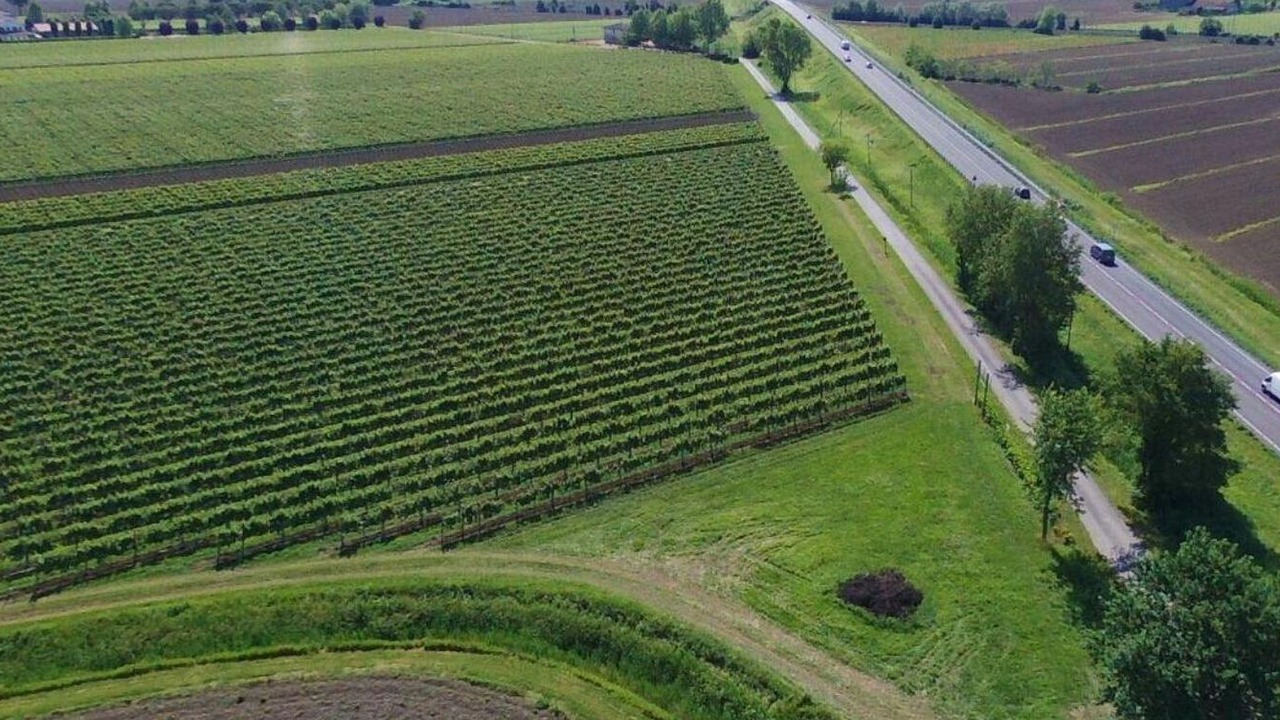 Photo of Outdoor in Meolo
