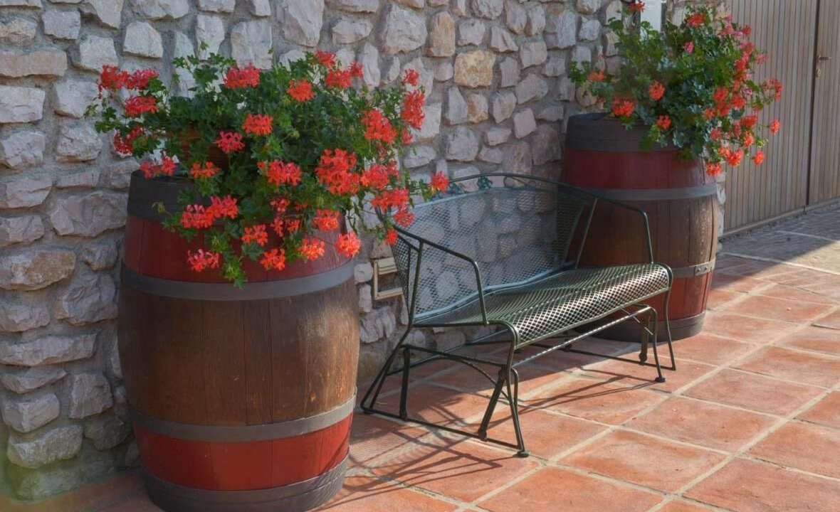 Photo of Outdoor in Medea