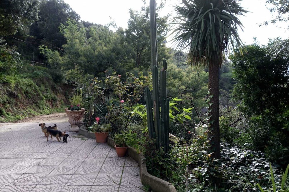 Photo of Outdoor in Lanusei