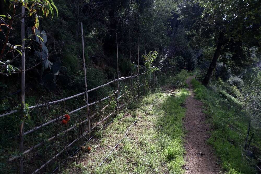 Photo of Outdoor in Lanusei