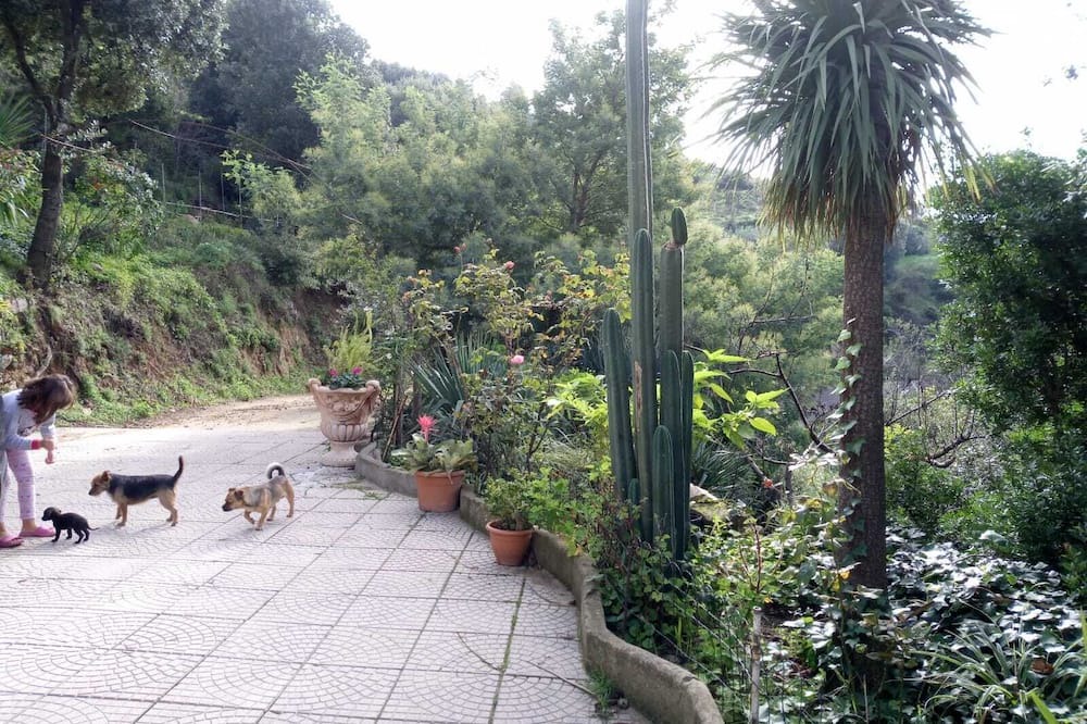 Photo of Outdoor in Lanusei