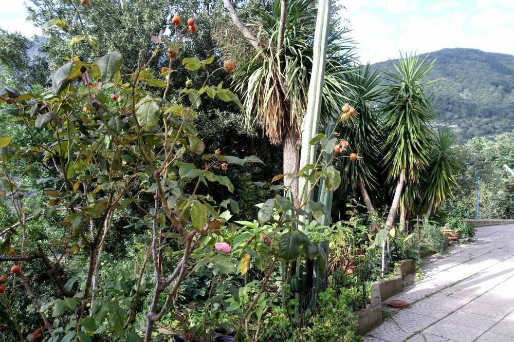 Photo of Outdoor in Lanusei