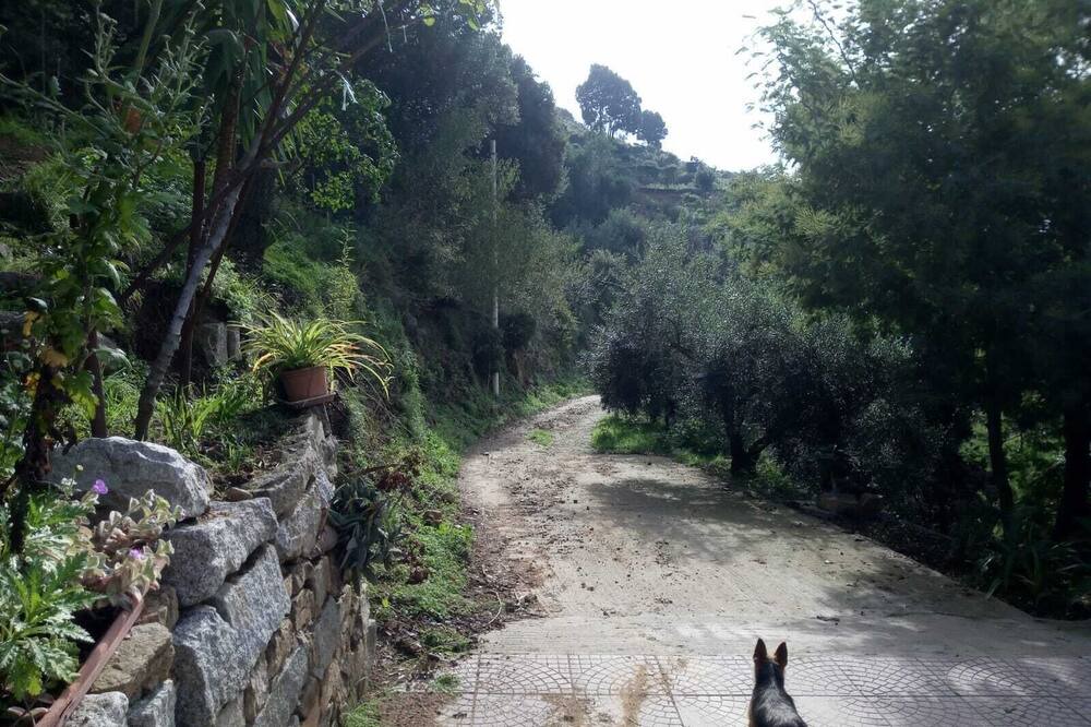 Photo of Outdoor in Lanusei