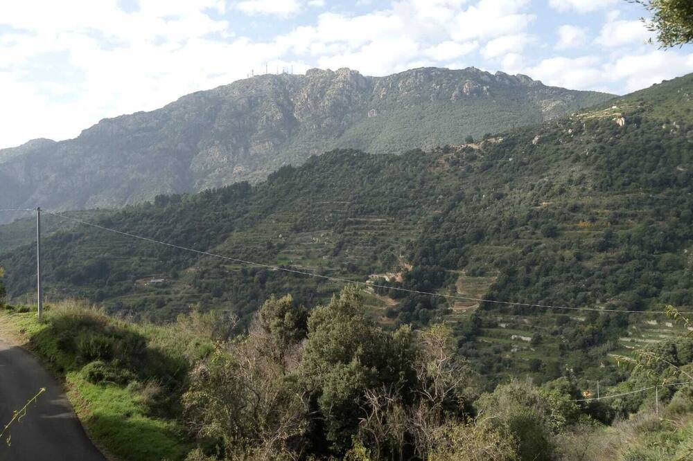 Photo of Others in Lanusei