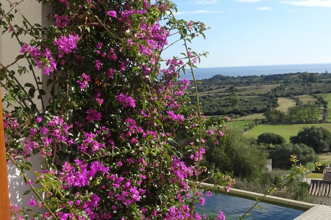 Photo of Outdoor in S'Iscala