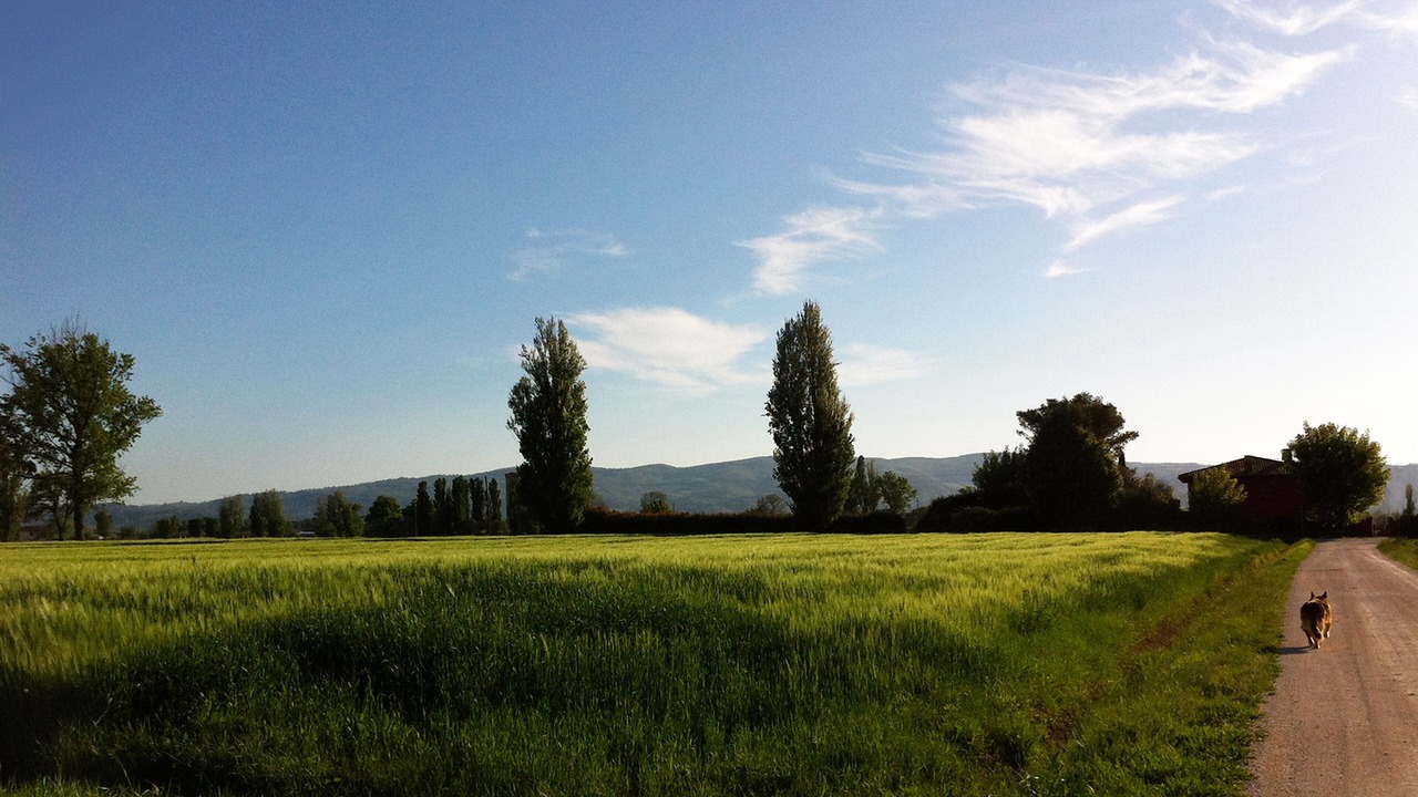 Photo of Outdoor in Limiti