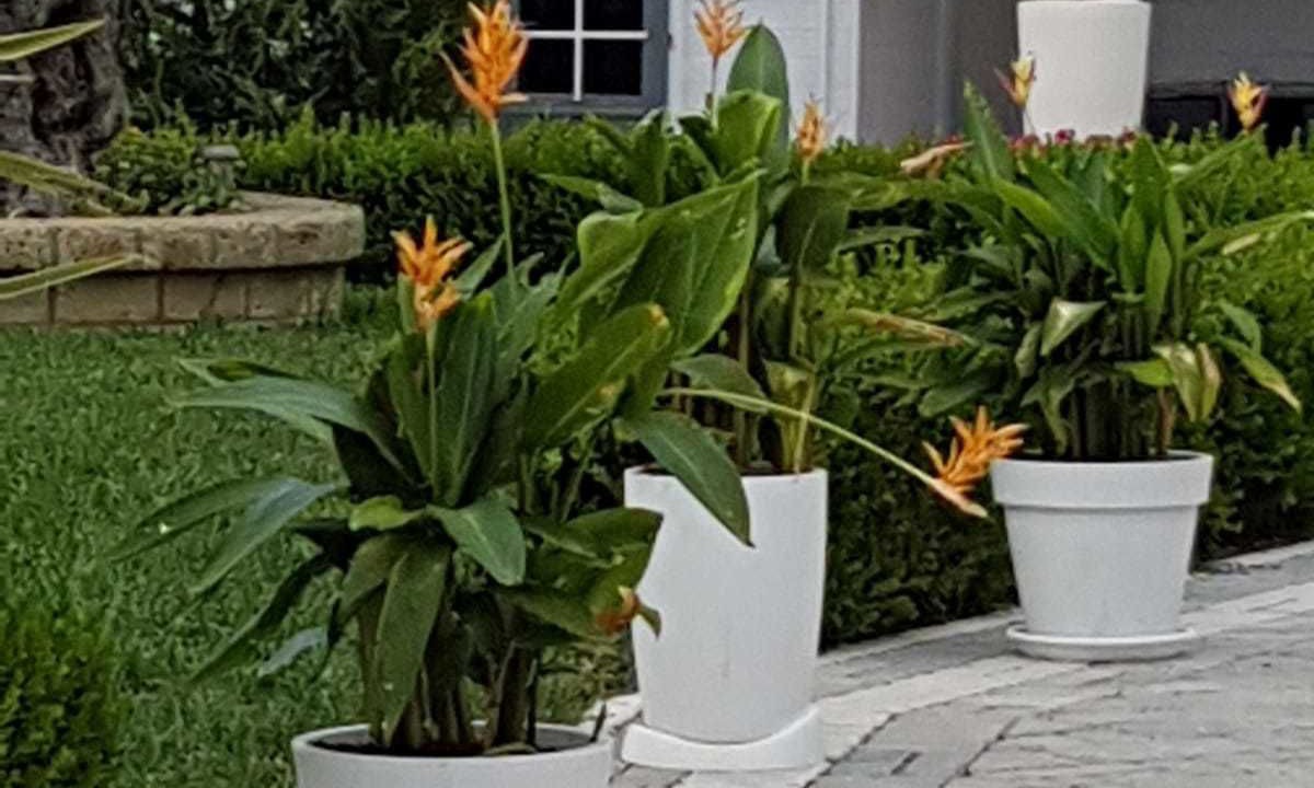Photo of Outdoor in Cossignano
